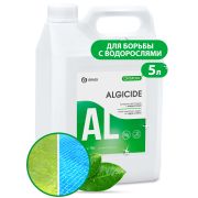 Средство для борьбы с водорослями CRYSPOOL algicide (канистра 5кг)